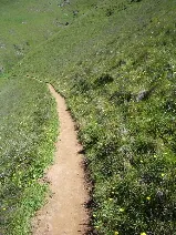 Walking Mt. Tamalpais in spring's beauty