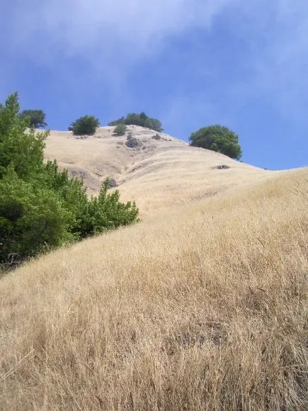 mt-tamalpais-marin-county-CA mt tamalpais marin county CA with blue sky