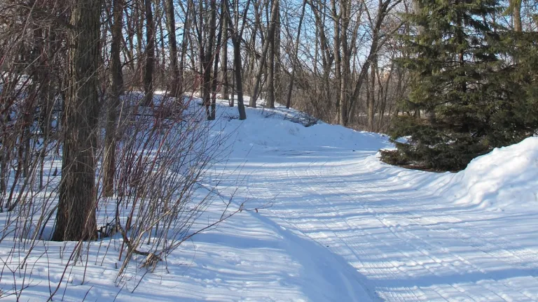 here comes another year path-through-snow