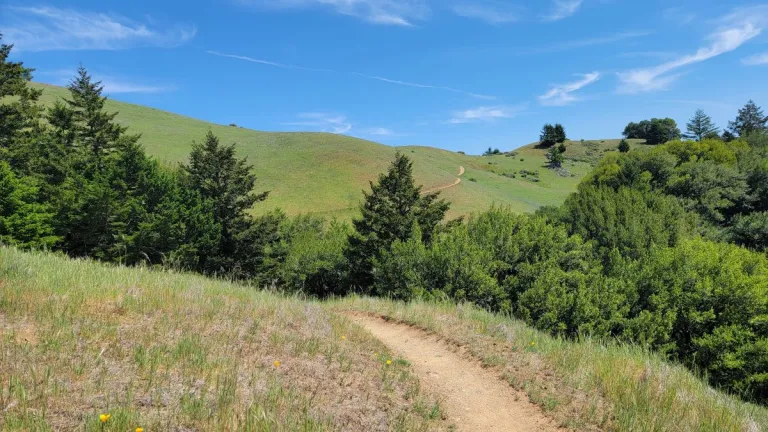 a multi-faith book for a globalized, multi-faith world, path-mt-tamalpais