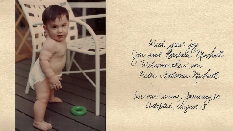 a-baby-to-adopt birth-and-adoption-announcement