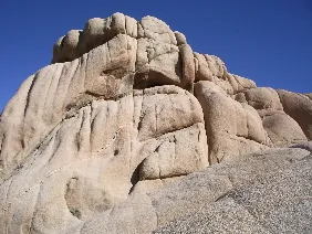 Joshua Tree National Monument c 2009 B.F. Newhall
