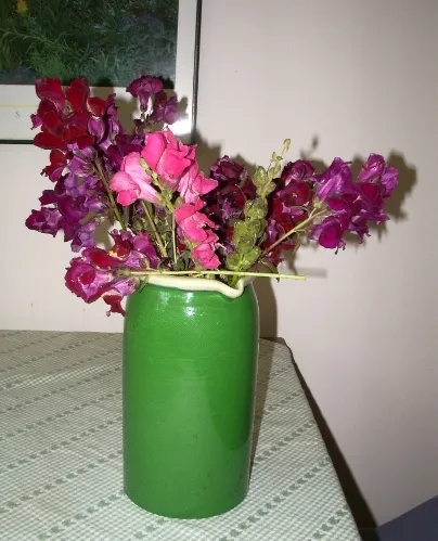 maroon snapdragons arranged awkwardly in a green vase. photo by bf newhall