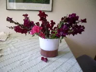 maroon snapdragons arranged awkwardly in a white glass vase. photo by bf newhall