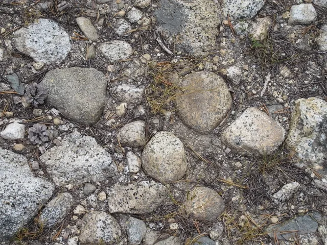 tuolemne -- even the rocks are beautiful. Photo by barbara newhall