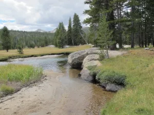 Winding river with mountains, Yosemite. Photo by BF Newhall