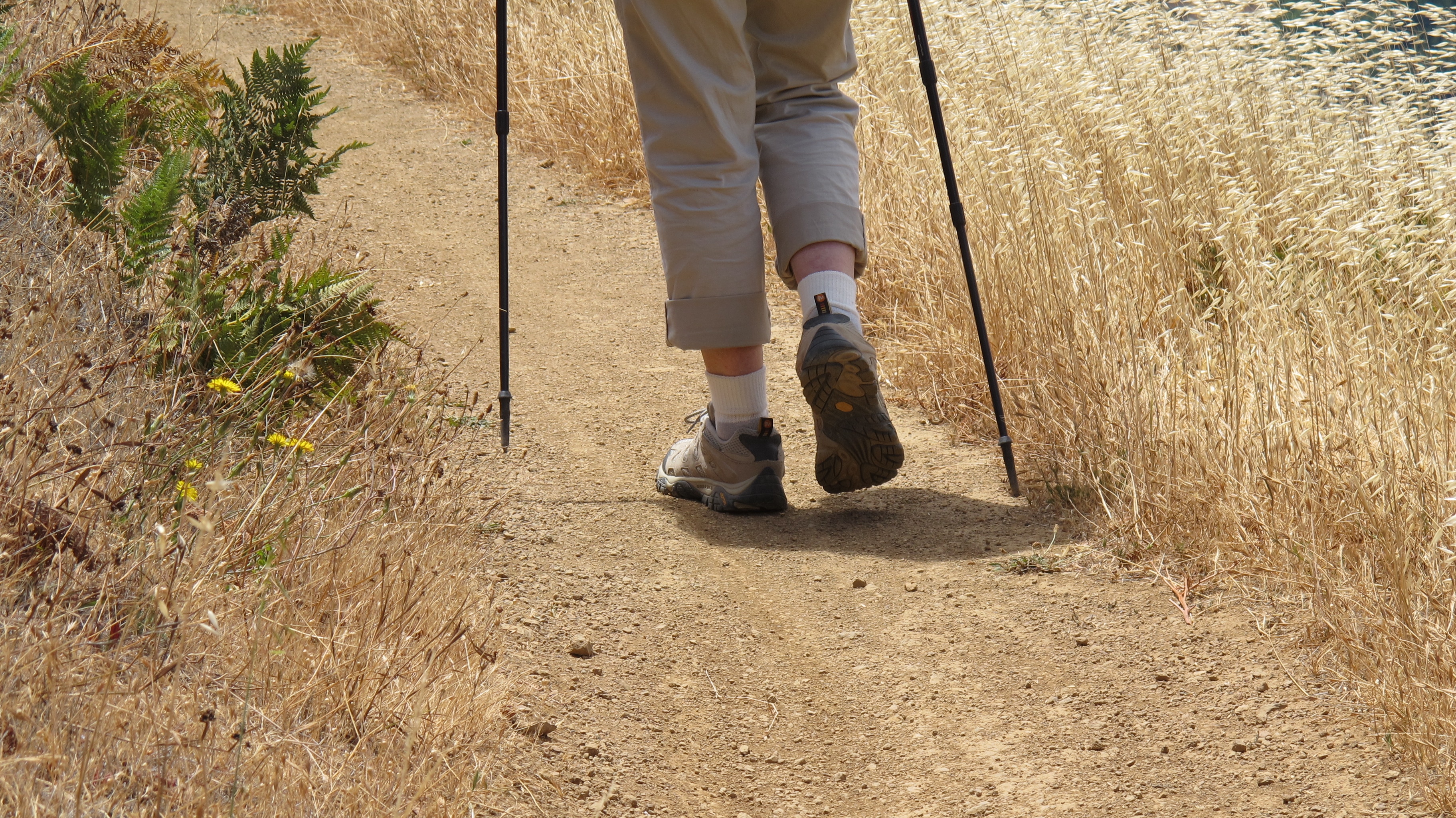 The back of a hiker's boots, on the trail. Photo by Barbara Newhall