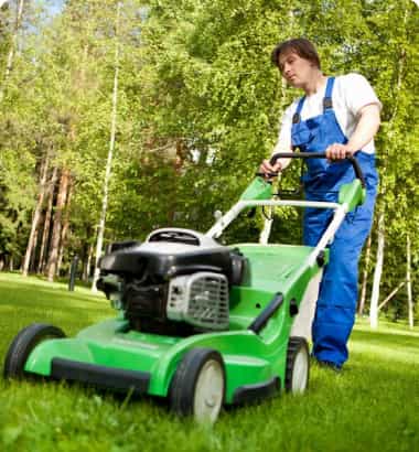 Lawn care services Rochester Mn