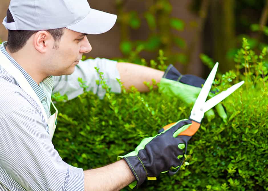 lawn care services MN