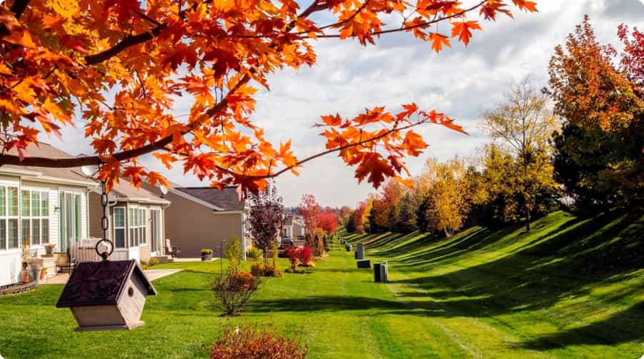 Fall Services in Rochester, MN