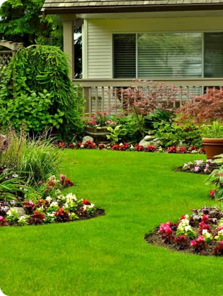Lawn care Rochester, MN