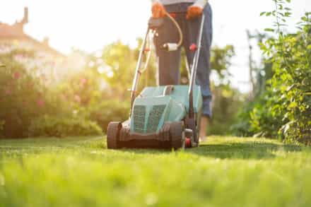 Lawn care in Rochester, MN