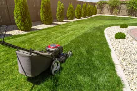 Lawn care in Rochester MN