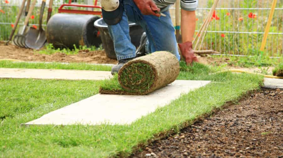 Lawn Restoration Rochester, MN