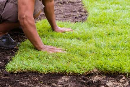Lawn Restoration Rochester MN