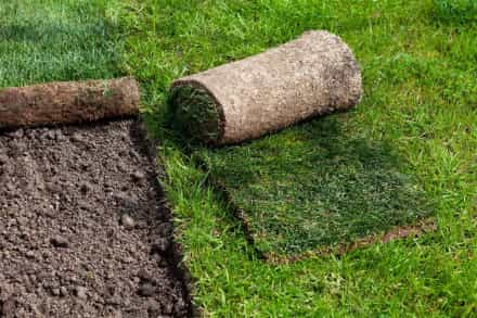 Lawn Restoration in Rochester MN