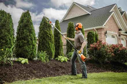 Tree services in Rochester, MN