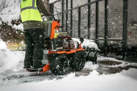 ice management and Tree Care in Rochester, M