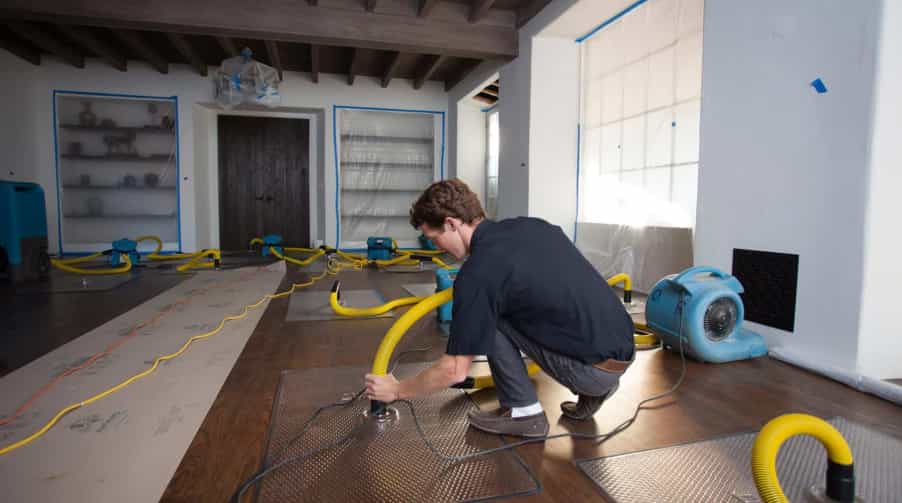Water mitigation Rochester, MN