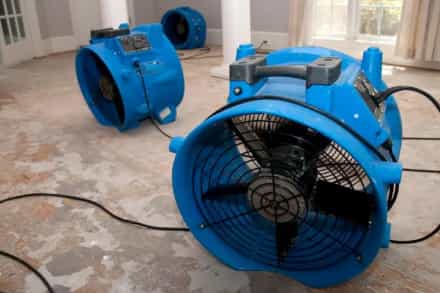 Water mitigation Rochester