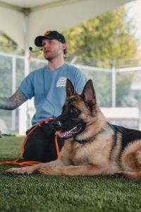 Walking a reactive dog