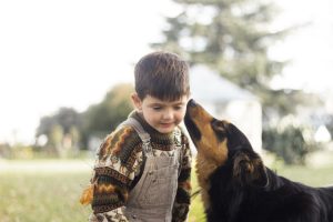 how to introduce dogs