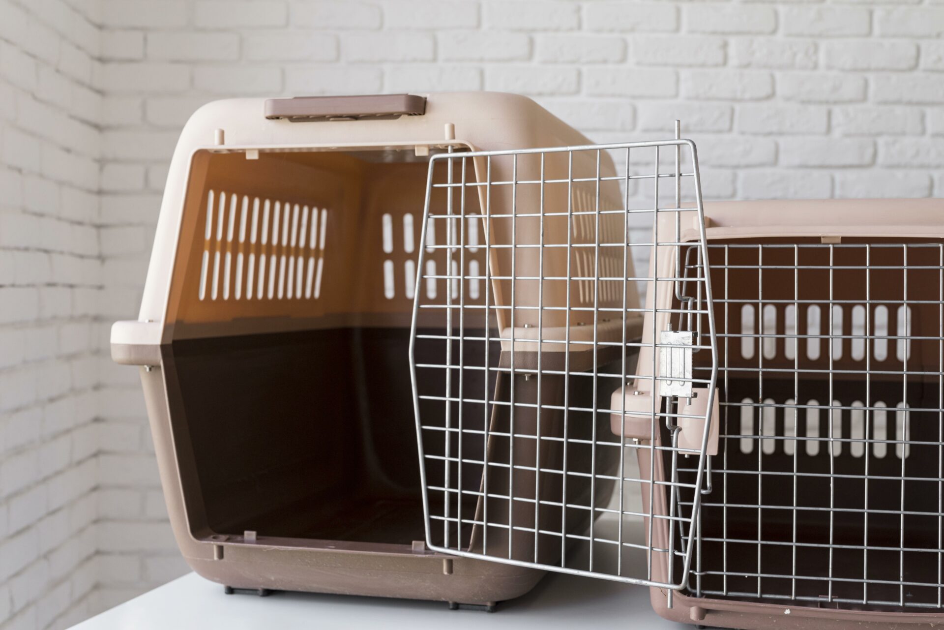 Crate Training