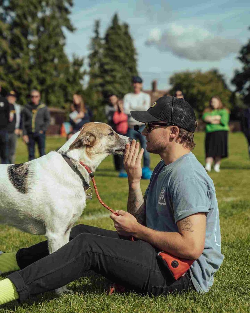 dog recall
