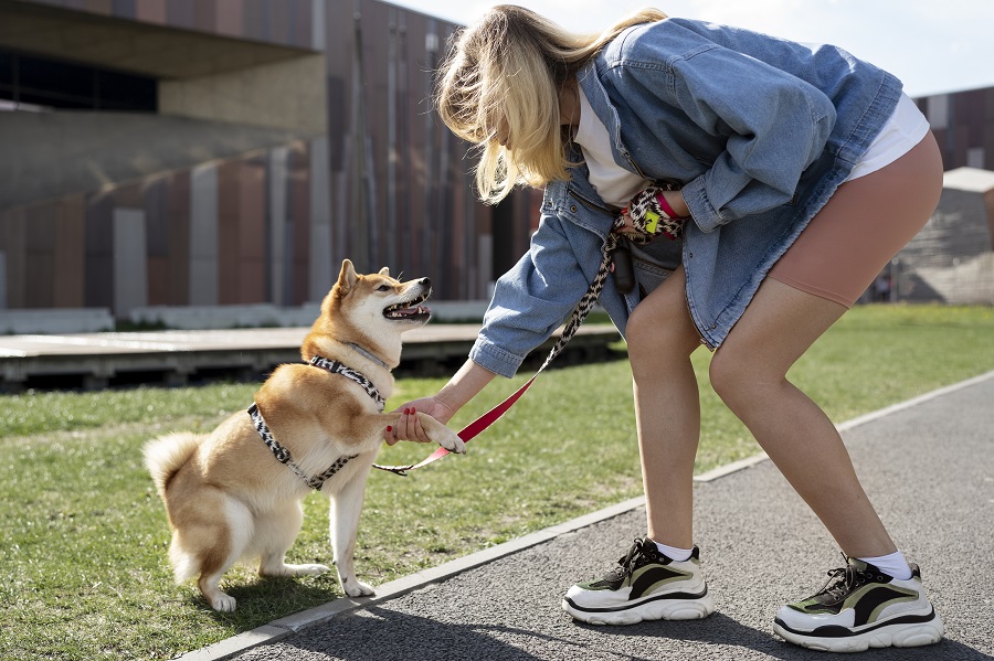 Your 5 Pre-Walk Exercises