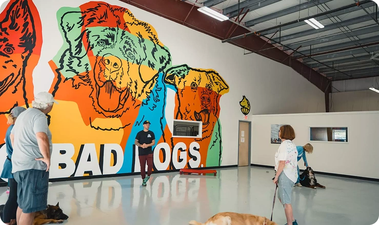 Private Dog Training with Tom Davis
