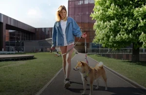 Mastering Dog Recall: Teach This Life-Saving Command Today