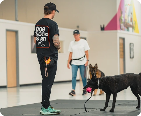 Off-Leash Training Program