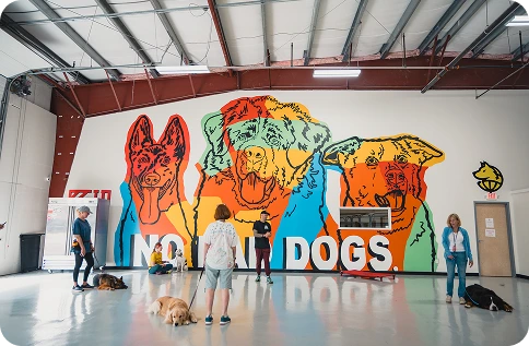 Expert Dog Daycare and Training in Clifton Park NY