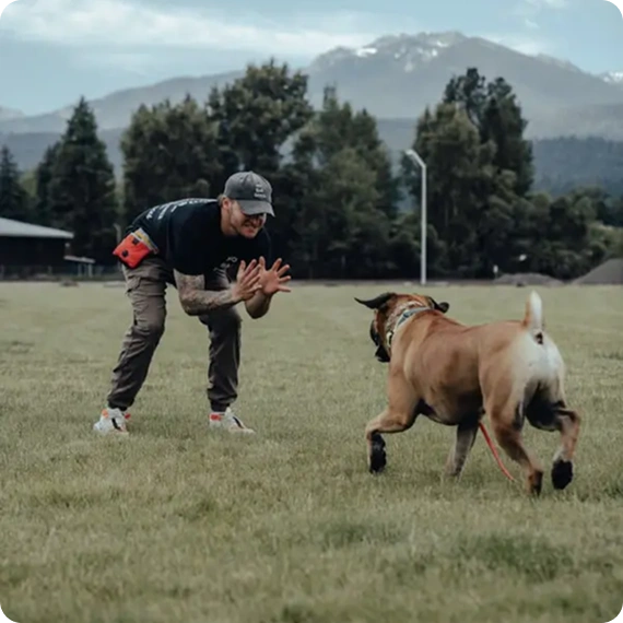 Off-Leash Dog Training
