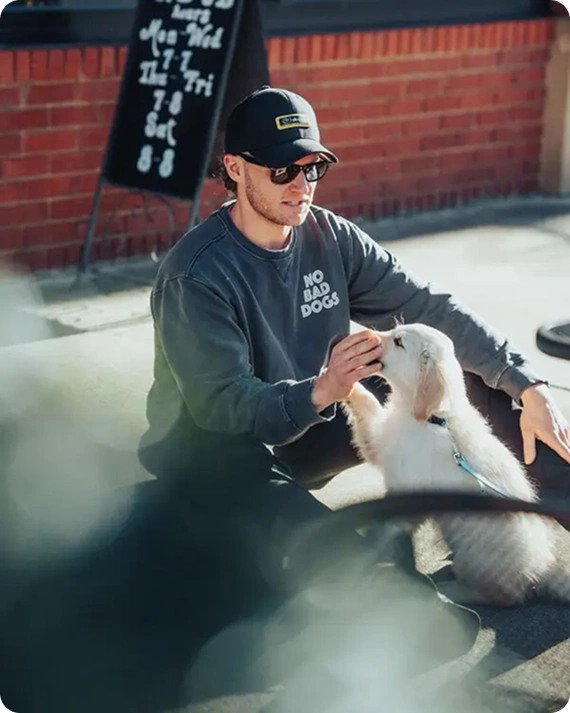 Puppy Training