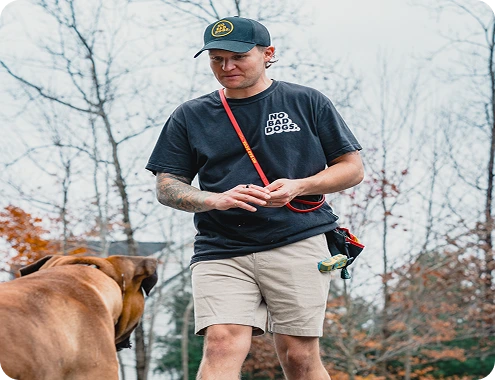 In-Person Dog Training with Tom Davis