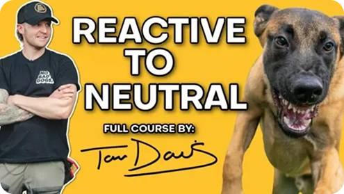 Reactive to Neutral Course