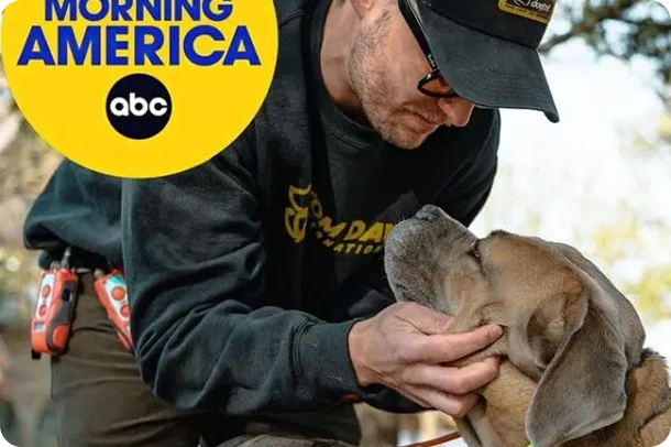 Digital Feature in Appearances Good Morning America