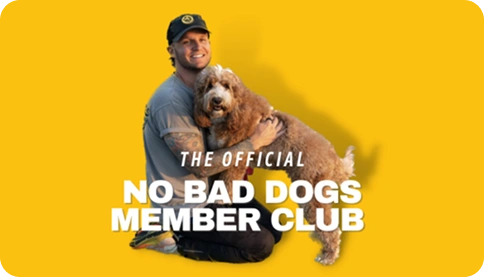 No Bad Dogs Member Club