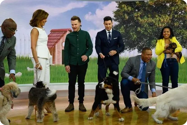Puppy Personalities - Press & Appearances