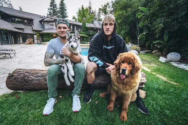 Logan Paul – Youtube Personality