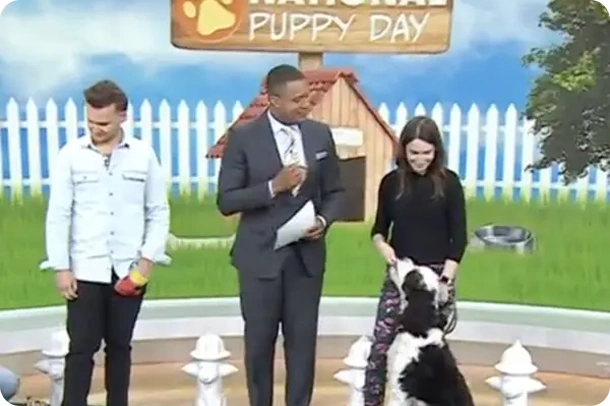 Press & Appearances - National Puppy Day,